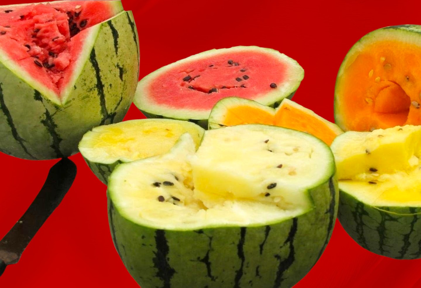 Watermelon (Seasonal)